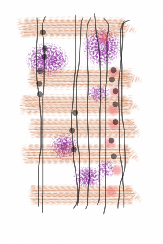 07222012 drawing a day by Stella Untalan 2012 