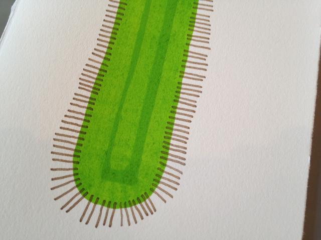 detail - drawing new marks in green and walnut ink