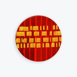 Round srawing on MDF, orange, red, yellow