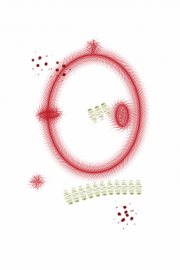 06142012 drawing a day by Stella Untalan 2012 