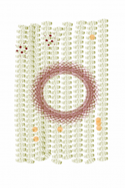 06202012 drawing a day by Stella Untalan 2012 