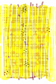 06212012 drawing a day by Stella Untalan 2012 