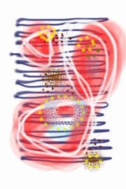 06252012 drawing a day by Stella Untalan 2012 