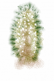 08042012 drawing a day by Stella Untalan 2012 