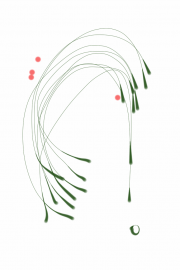 09192012 drawing a day by Stella Untalan 2012 