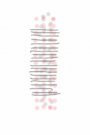 11252012 drawing a day by Stella Untalan 2012 