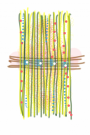 12232012 drawing a day by Stella Untalan 2012 