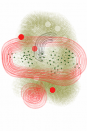 12282012 drawing a day by Stella Untalan 2012 