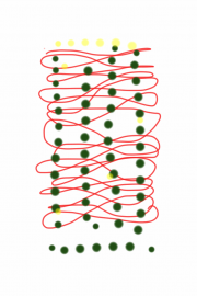 12302012 drawing a day by Stella Untalan 2012 